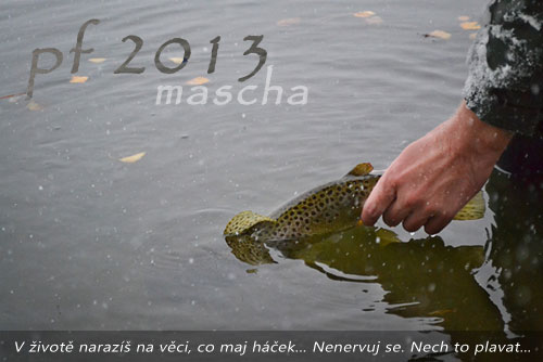 PF 2013 Mascha